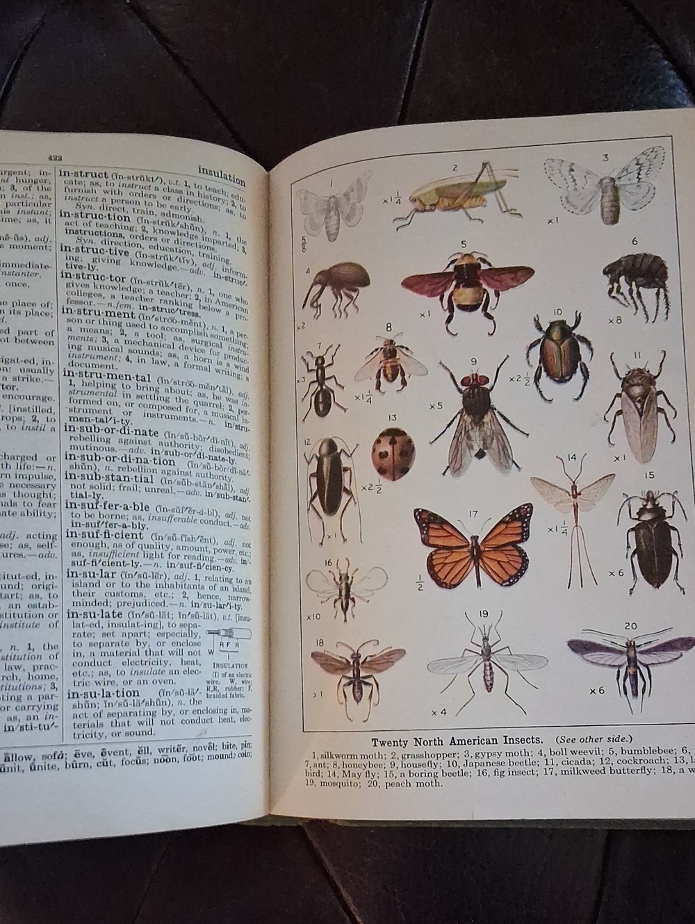 Antique Book Lot - Picture 4 of 12